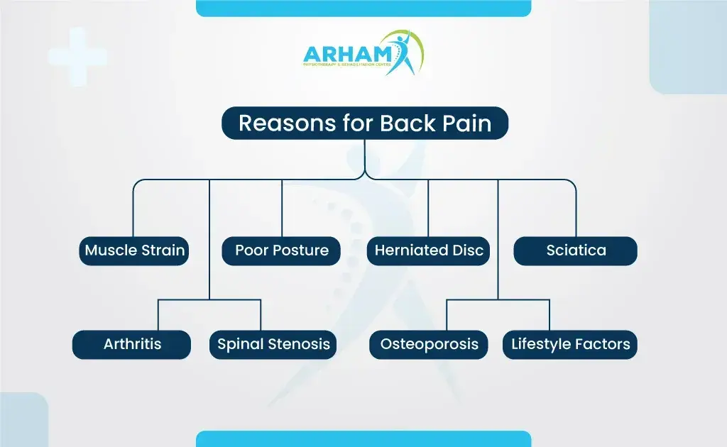 Reasons for Back Pain 1